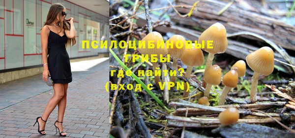 прущий лед Заводоуковск
