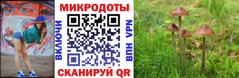 Псилоцибиновые грибы прущие грибы  цены   Иннополис 